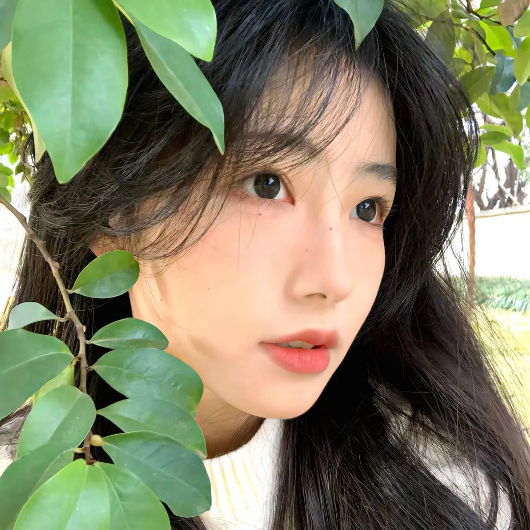 花园宝宝
